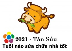 xem tuoi sua nha nam 2021