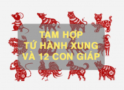 Tính tuổi tam hợp tứ hành xung cho 12 con giáp chuẩn nhất