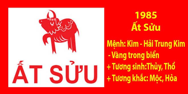 mau sac hop tuoi at suu sinh nam 1985